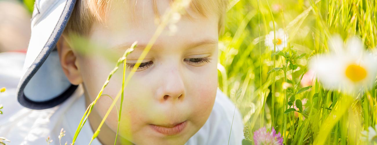 A little boy wearing a hat while looking at a flower, lying in a meadow