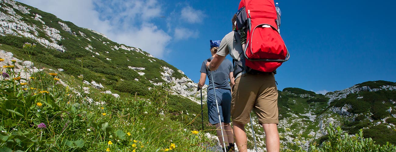Hikers  ascending a trail surrounded by flowering meadows