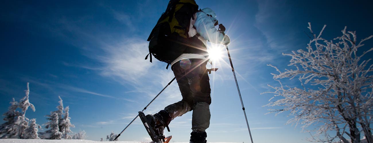 Ein Schneeschuhwanderer umgeben von Bäumen voller Schnee